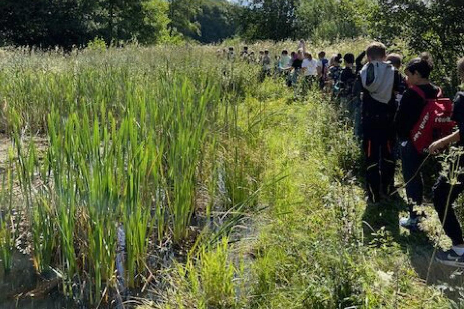 Foto: Mitteilungsblatt Grabenstetten