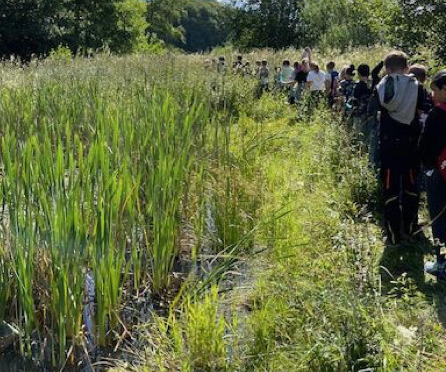 Foto: Mitteilungsblatt Grabenstetten